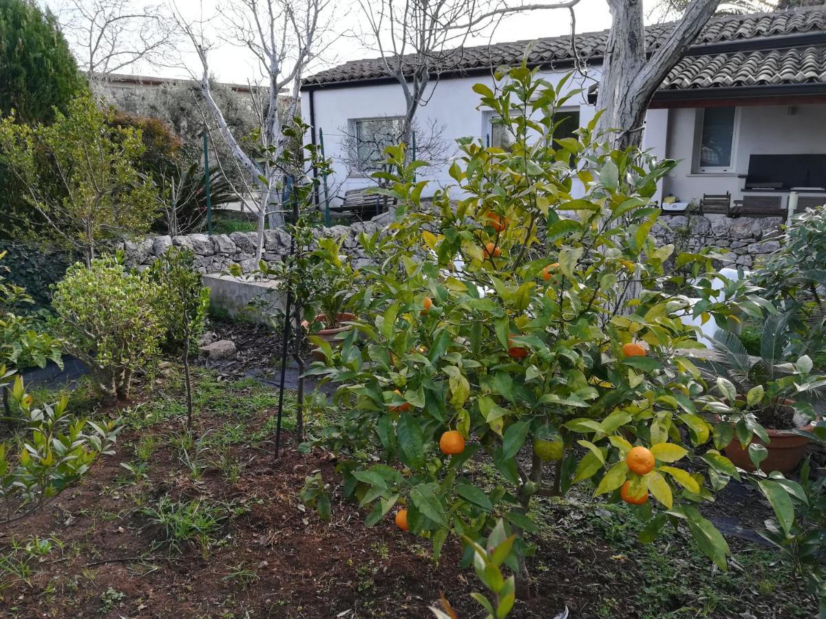 Casa Degli Avi Don Neli, Immersa Nella Natura Modica Ngoại thất bức ảnh