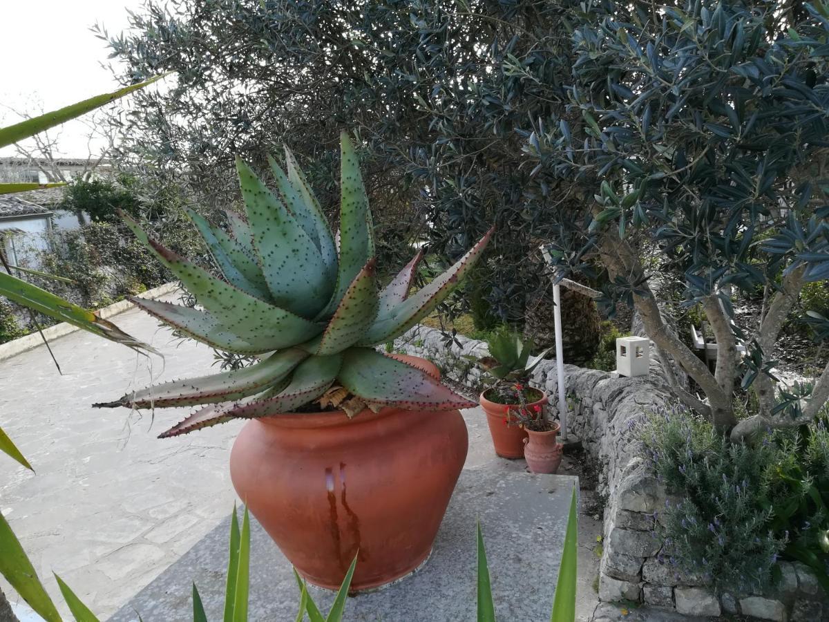 Casa Degli Avi Don Neli, Immersa Nella Natura Modica Ngoại thất bức ảnh