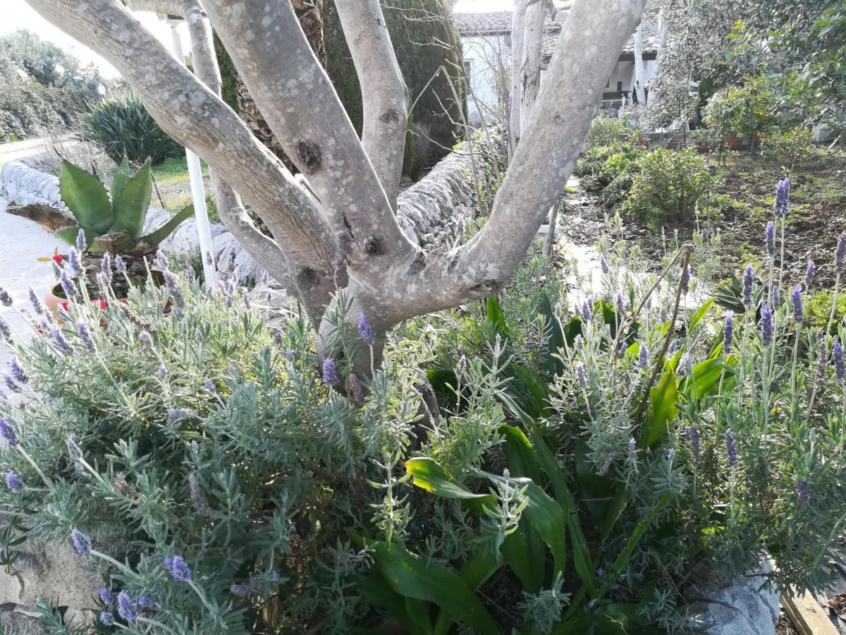 Casa Degli Avi Don Neli, Immersa Nella Natura Modica Ngoại thất bức ảnh
